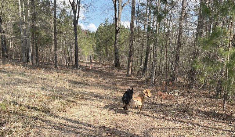 Beginning Our Barndominium&nbsp;Journey